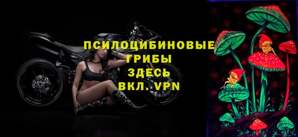 меф Алексин